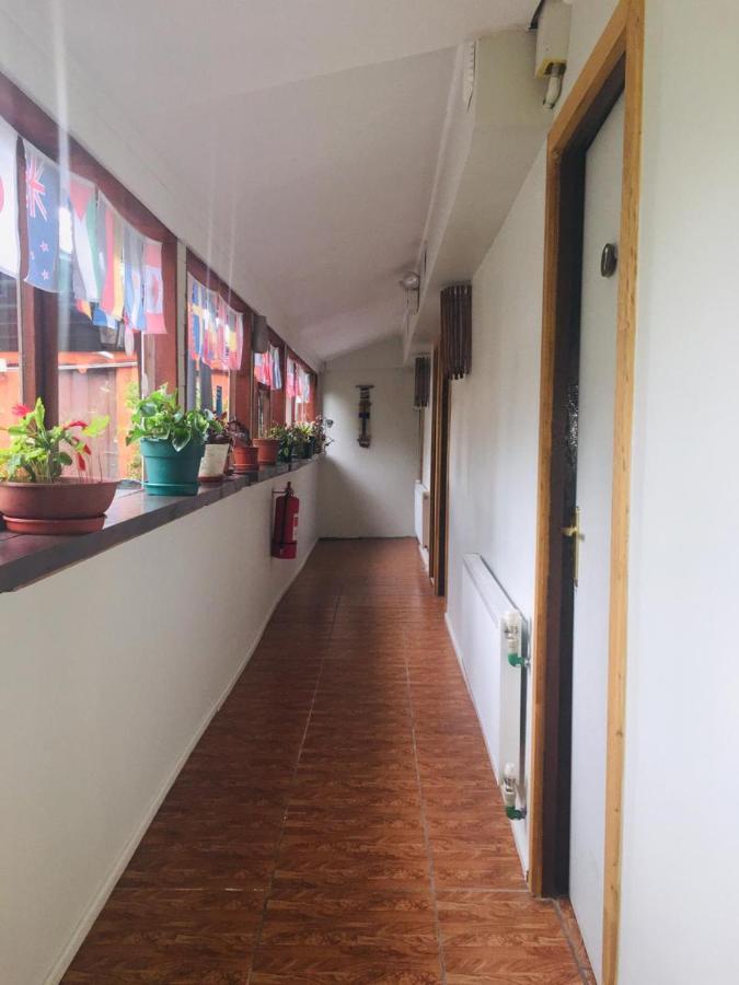 פוקון Hospedaje Irma Backpackers מראה חיצוני תמונה